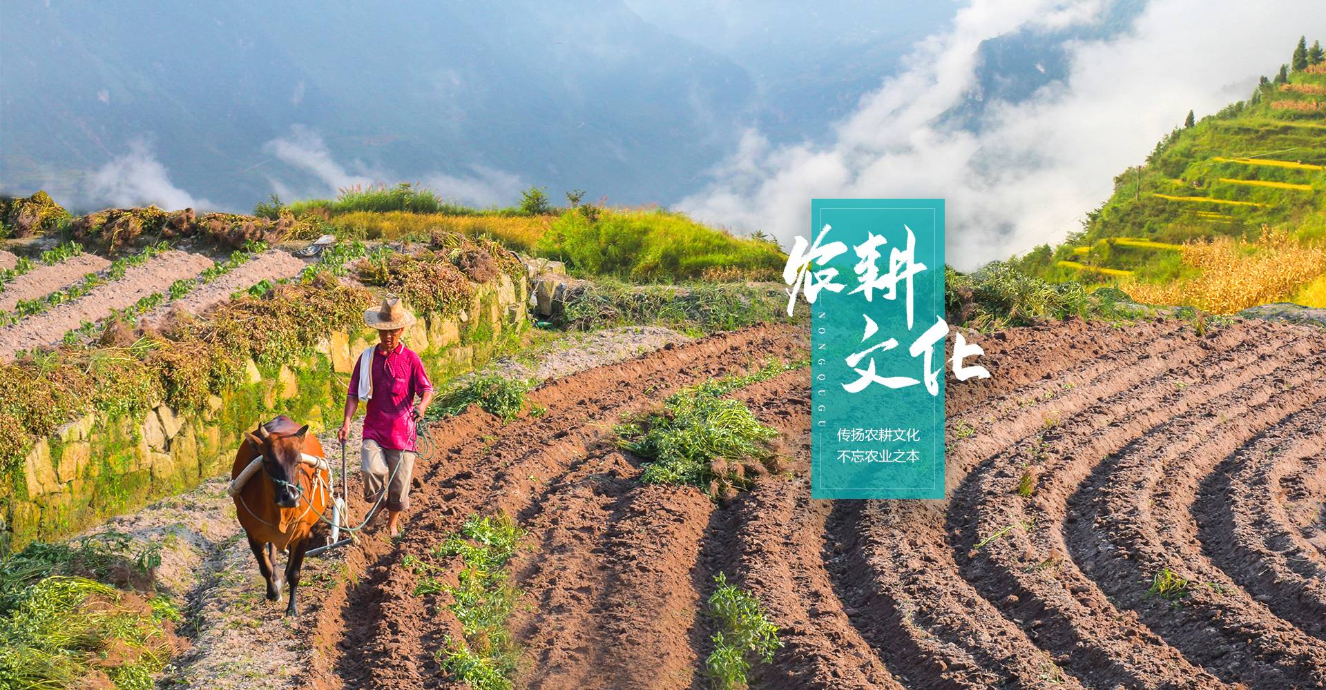 深圳凤凰山农趣谷 - 您身边的农耕·农趣·智慧田园